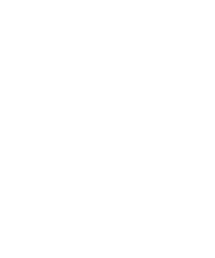 Pengo Logo - Loyalty points program - Pengo Points - Omorovicza