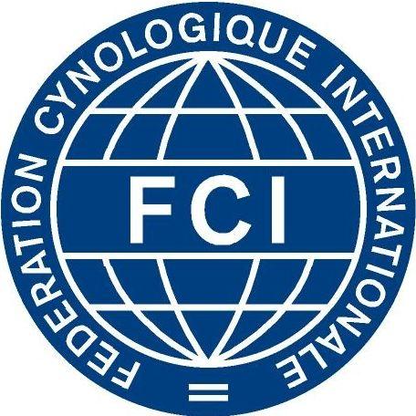 FCI Logo - Obraz