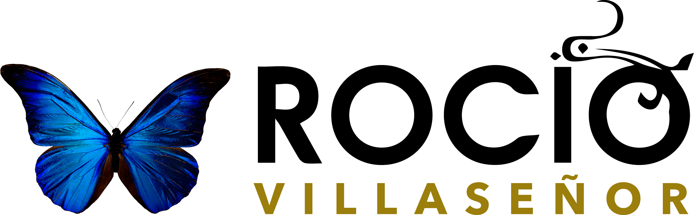 Rocio Logo - Rocio Villasenor – BioNeuroEmotion
