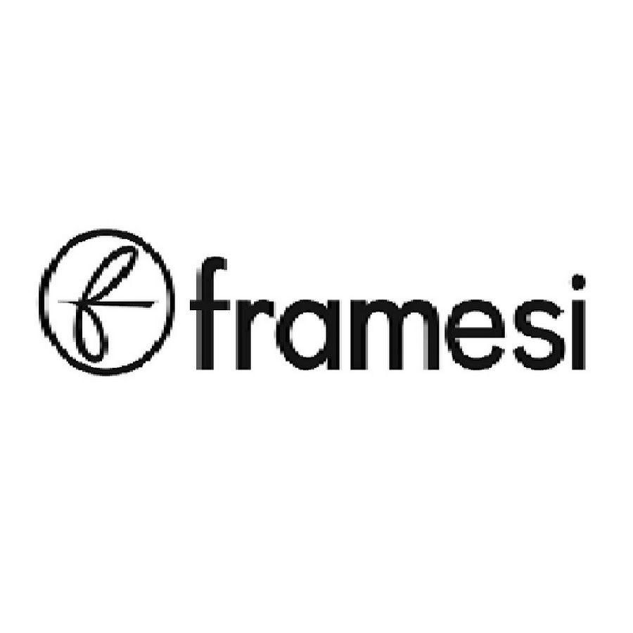 Framesi Logo - Framesi France