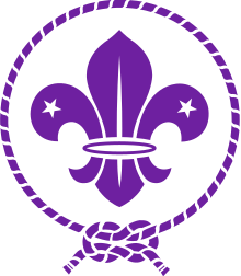 Scout Logo - Fleur-de-lis in Scouting