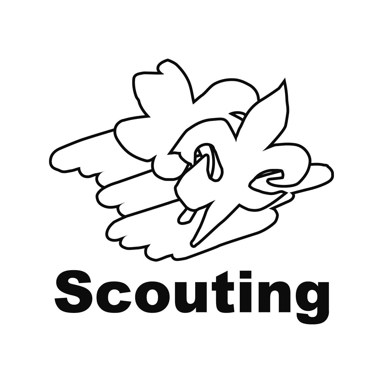 Scouting Logo - Logo Scouting Nederland - OnTopic