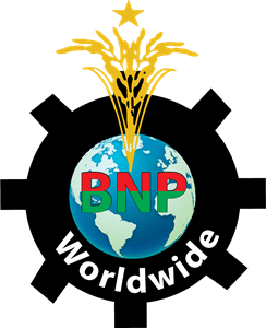 BNP Logo - Bnp Logo Vectors Free Download