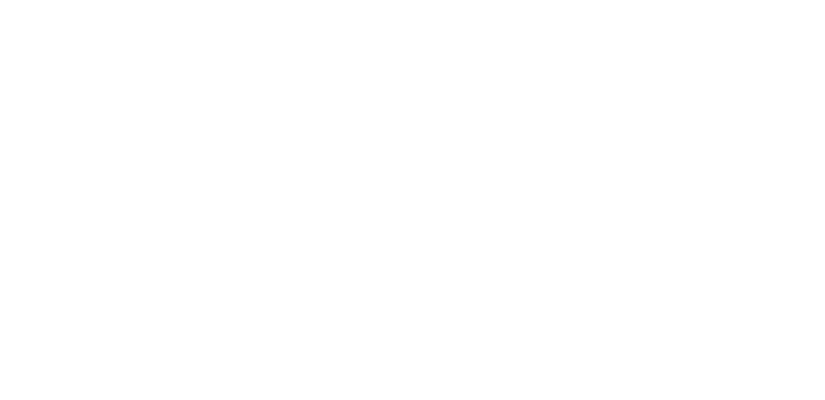 Zimmer Logo - ZimmerGlobal.com