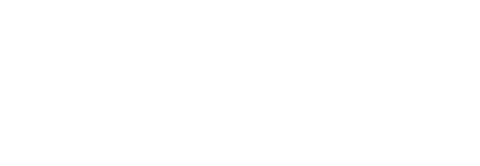 Zimmer Logo - Maestro