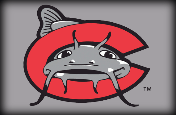 Mudcats Logo - The Story Behind the Carolina Mudcats: It's the Fish, Stupid | Chris ...