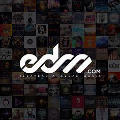 EDM Logo - 15 Best EDM images | Edm logo, Logo branding, Artist logo