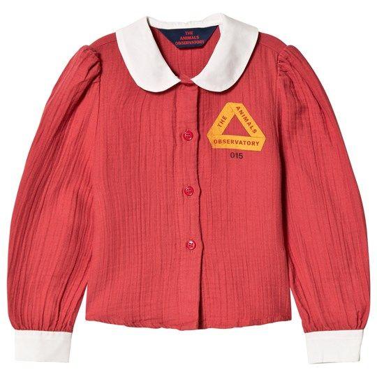 Red Triangle with Kangaroo Logo - The Animals Observatory Shirt Red Triangle