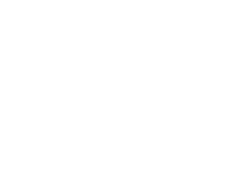 Streetwise Logo - Full Service Media and Video Production