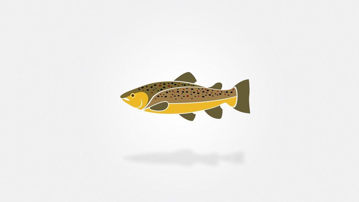 Trout Logo - Brown Trout Logo on Behance