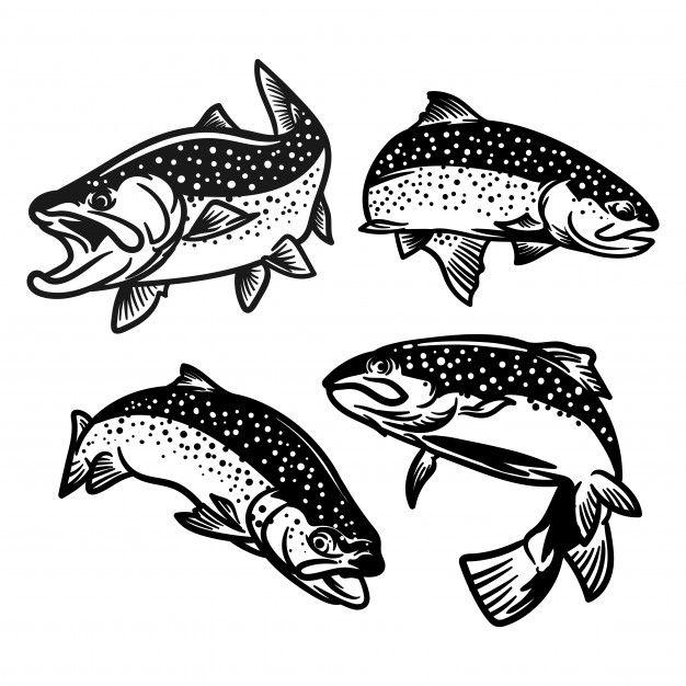 Trout Logo - Set of trout fish illustration for fishing logo Vector. Premium