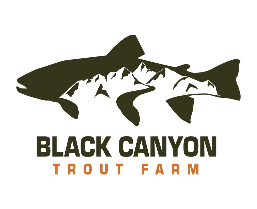 Trout Logo - BLACK CANYON TROUT FARM – BRANDING | MMIandU