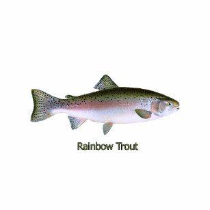 Trout Logo - Rainbow Trout Logo Gifts on Zazzle
