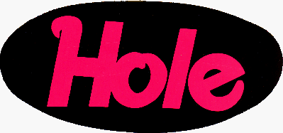 Hole Logo - Hole Pink Logo on Black Oval / Decal