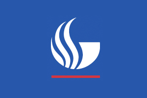 GSU Logo - Visual Identity - Communications Toolkit