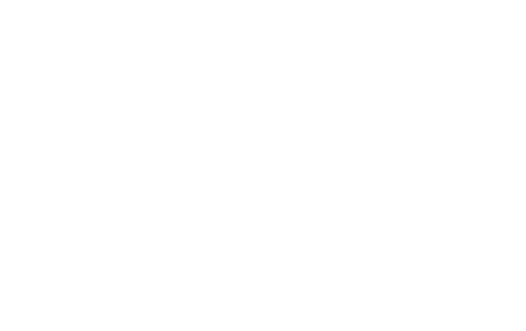 Zipline Logo - Vanuatu Jungle Zipline