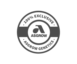 Asgrow Logo - Asgrow® soybeans with NemaStrike™ Technology