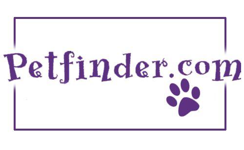 Petfinder.com Logo - Rescue Groups