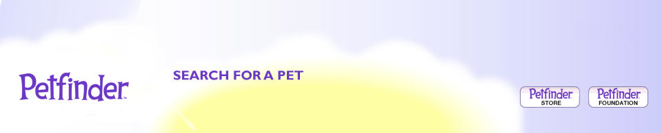 Petfinder.com Logo - Petfinder Download Center