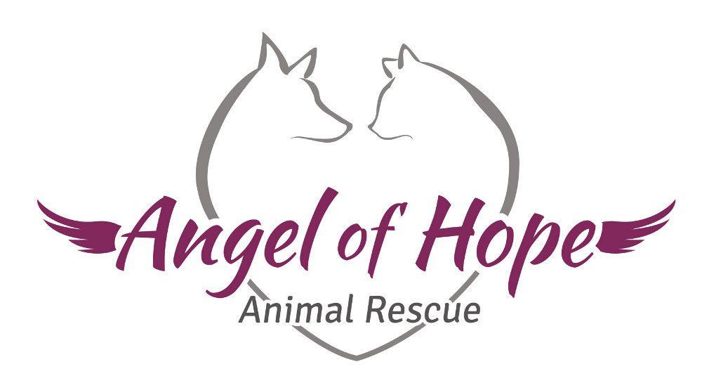 Petfinder.com Logo - Angel of Hope Animal Rescue - Petfinder Event Calendar