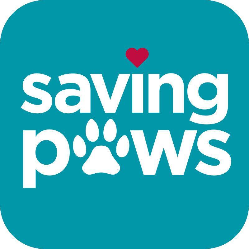 Petfinder.com Logo - Pets For Adoption At Meriden Animal Control Saving Paws, In Meriden
