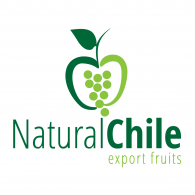 Fruits Logo - Natural Chile Export Fruits Logo Vector (.AI) Free Download