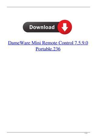 Deamware Logo - DameWare Mini Remote Control 7.5.9.0 Portable.236