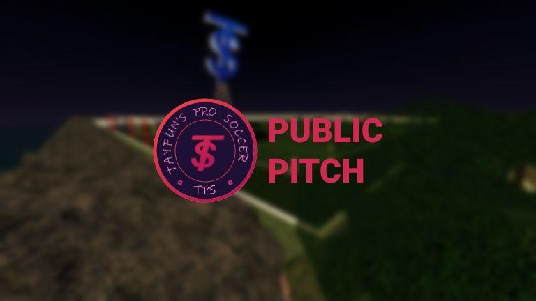 TSFL Logo - TSFL] Public Pitch - Roblox