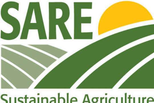 Sare Logo - Annual Report. Lexicon of Food