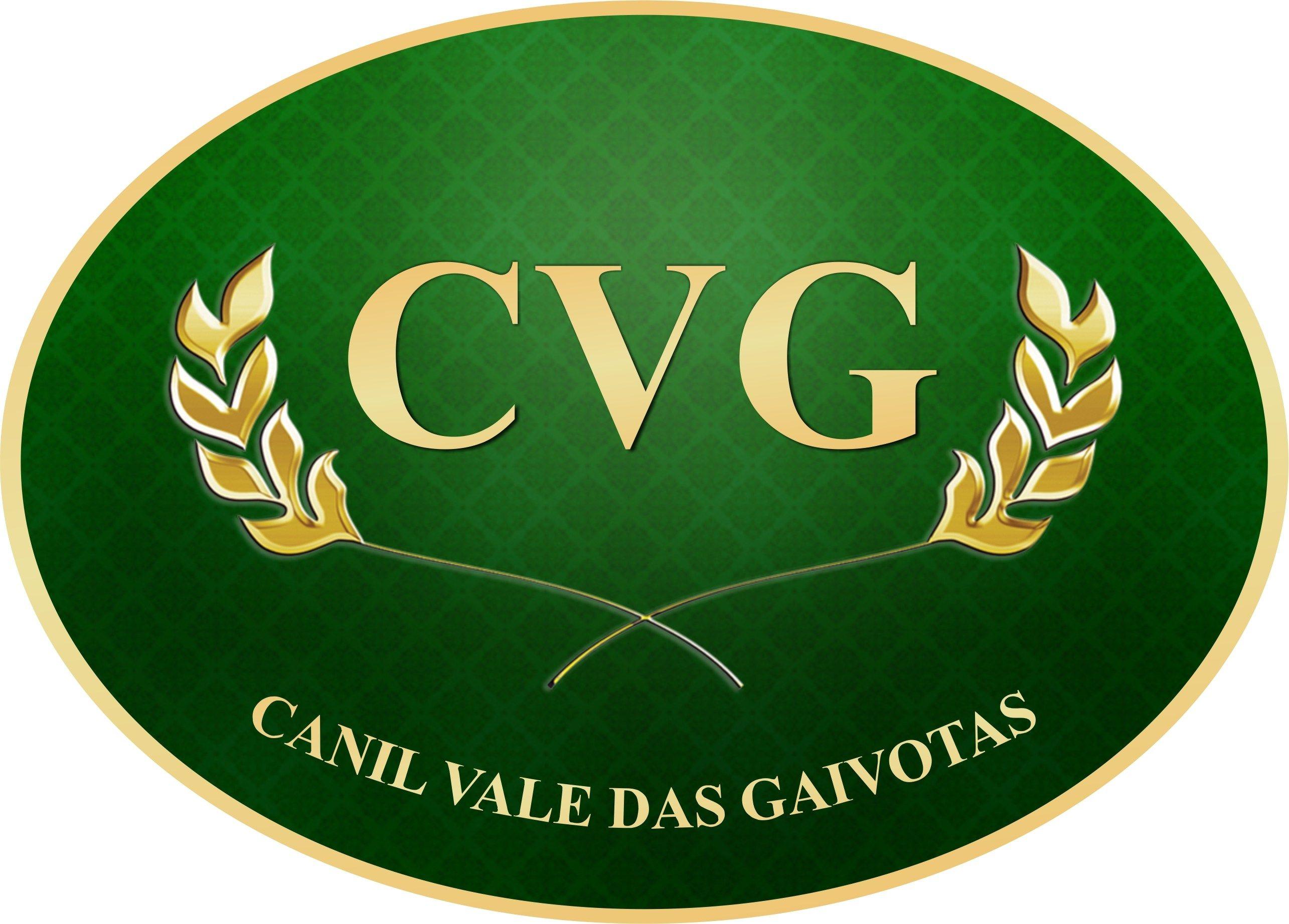 CVG Logo - Logo CVG Campineira de Cães Pastores Alemães