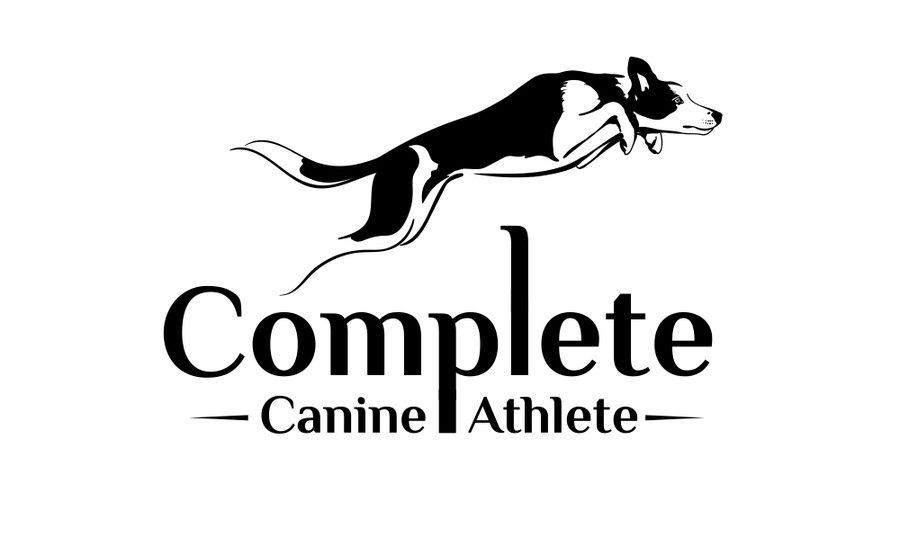 Agility Logo - Create a high energy dog agility logo! | Logo design contest