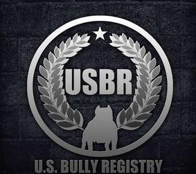 Usbr Logo - RCB