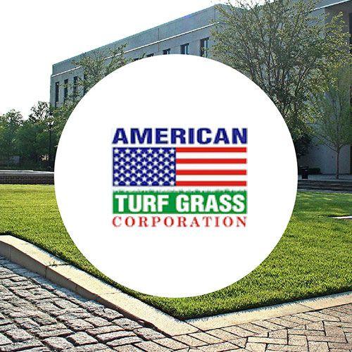 Turfgrass Logo - logo_american-turf-500x500 - Sod Solutions