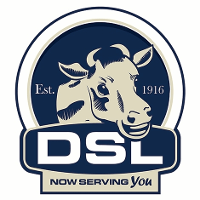 DSL Logo - DSL Jobs