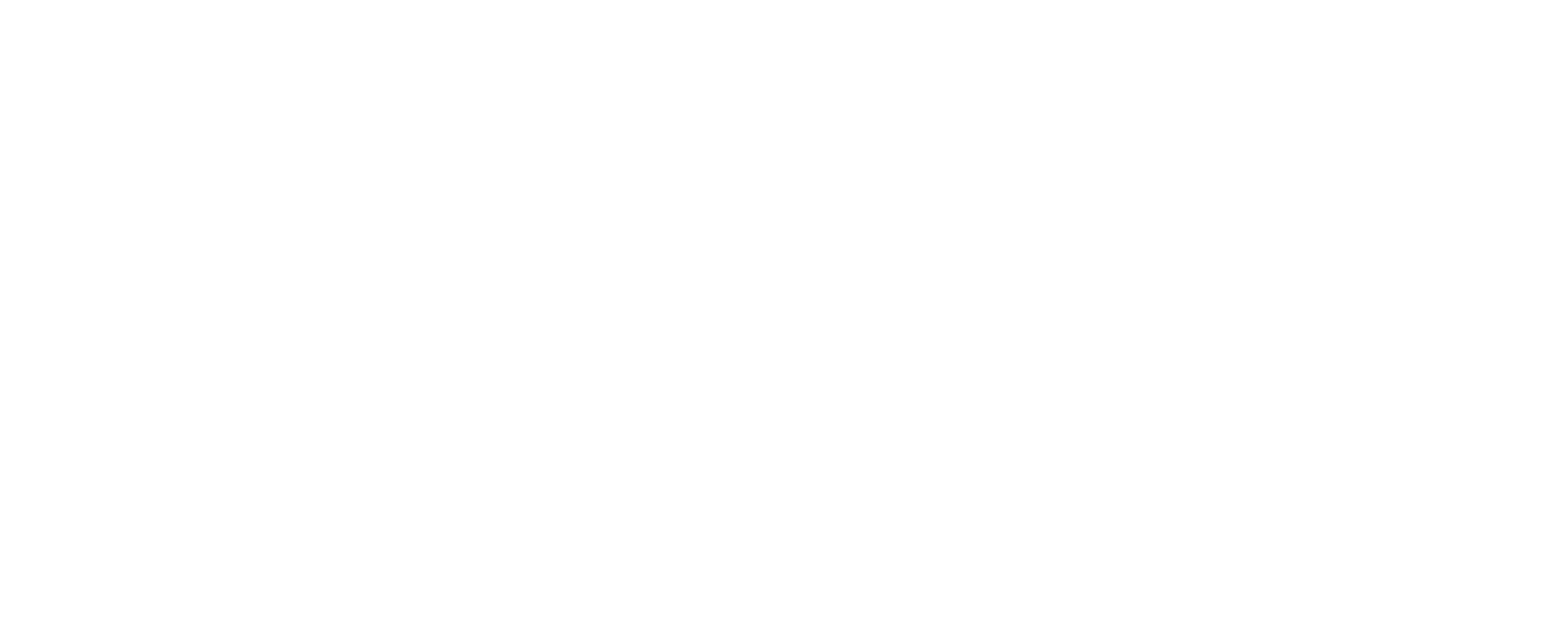 AFSP Logo - Annual Report 2017 — AFSP