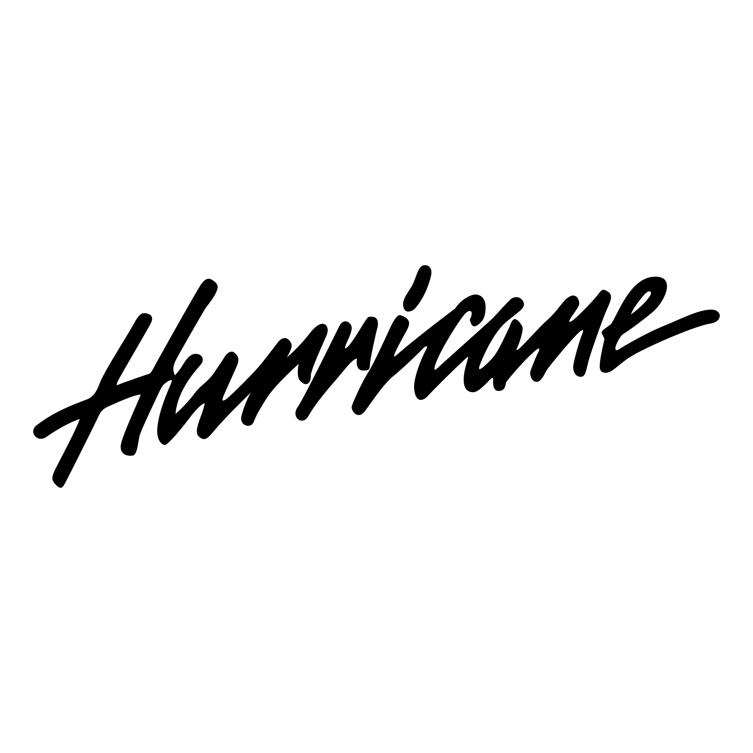 Hurraicane Logo - Hurricane Logo PNG Transparent & SVG Vector - Freebie Supply