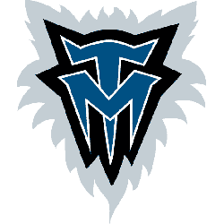 Twolves Logo - Minnesota Timberwolves Alternate Logo. Sports Logo History