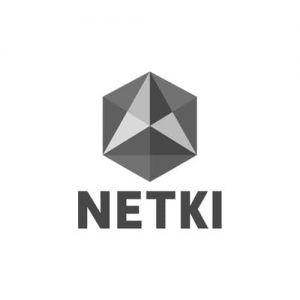 Netki Logo - Netki | Crypto Media Hub