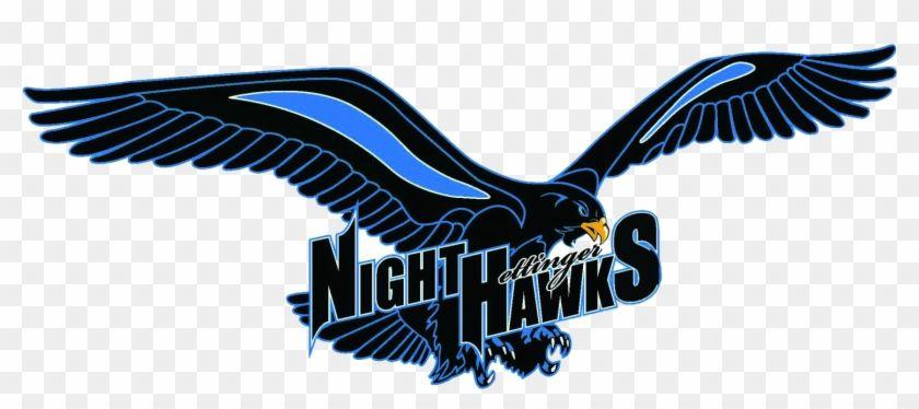 Nighthawk Logo - Hettinger Public School Logo Transparent PNG