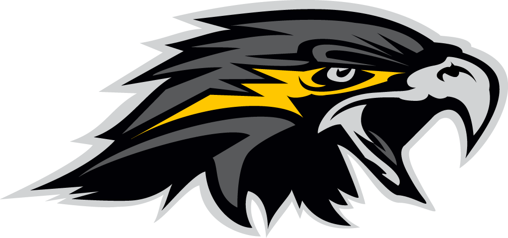 Nighthawk Logo - Wichita Falls Nighthawks Secondary Logo - Indoor Football League ...
