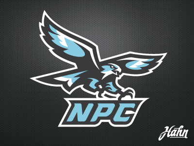 Nighthawk Logo - National Park College Nighthawks by Greg Hahn | Dribbble | Dribbble