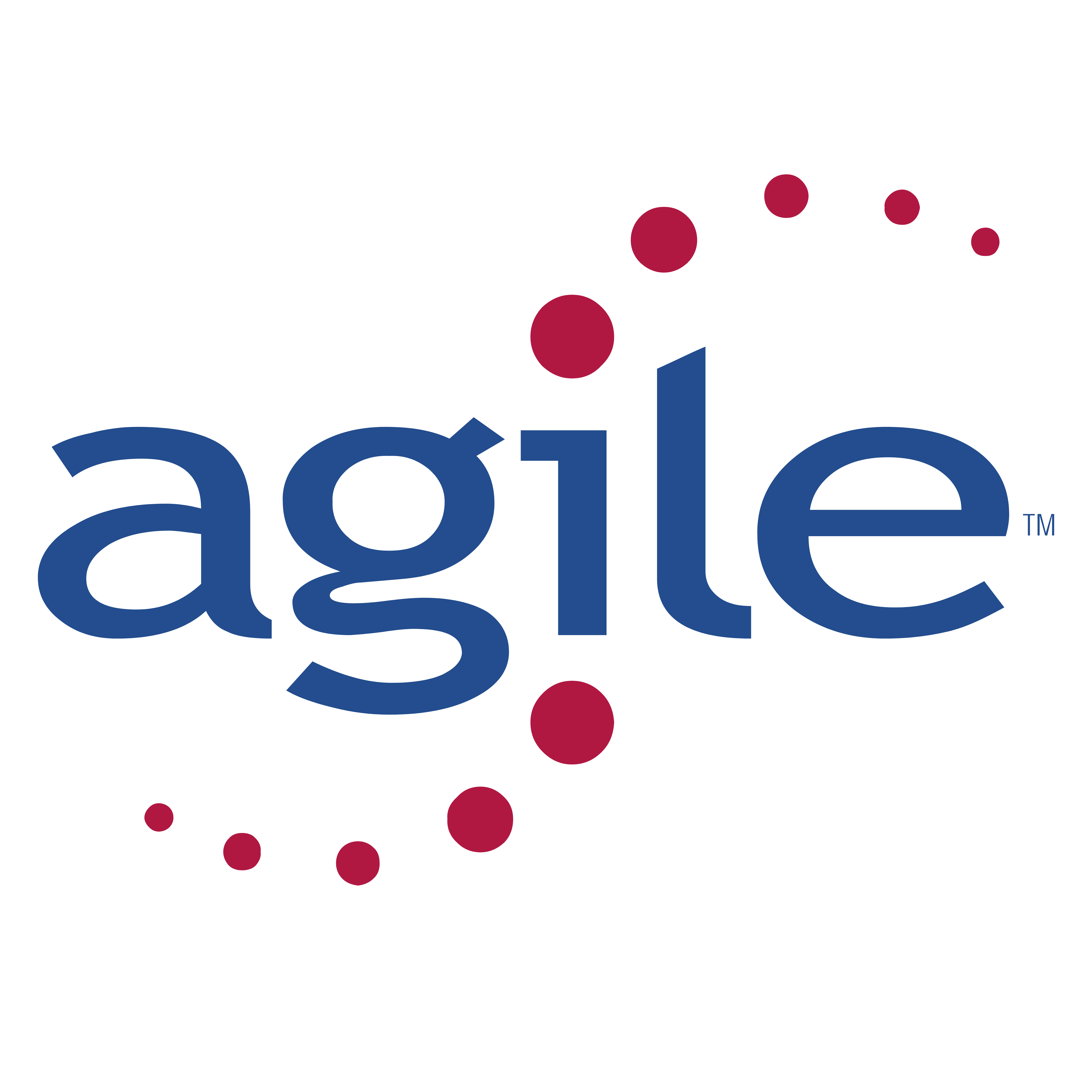 Agile Logo - Agile Software – Logos Download