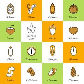 Nut Logo - Nuts Vectors, Photos and PSD files | Free Download