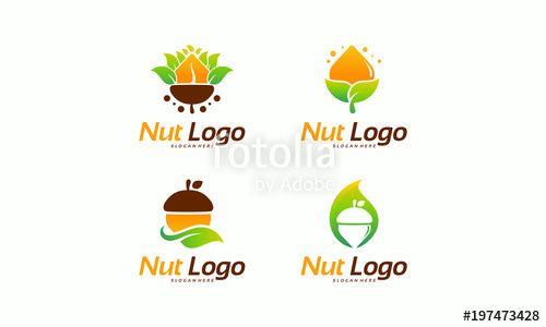 Nut Logo - Modern Designs of Nut logo template vector