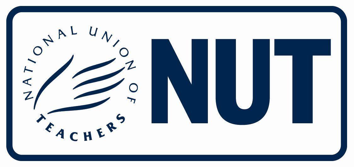 Nut Logo - Nut Logo