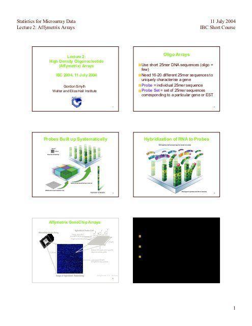 Affymetrix Logo - Statistics for Microarray Data Lecture 2: Affymetrix Arrays 11 July