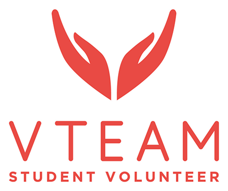 Volunteer Logo - V Team