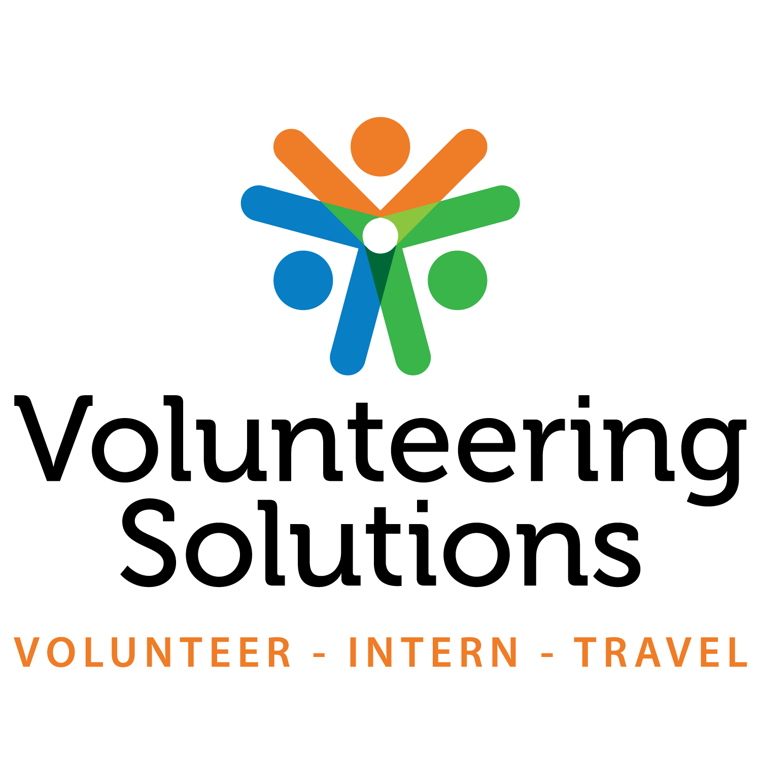 Volunteer Logo - Volunteering Solutions: A Transformation of The Logo And The Website