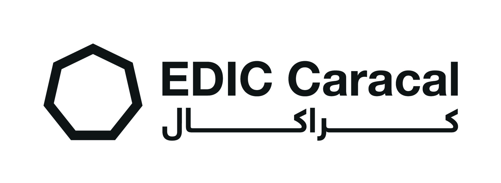 Edic Logo - EDIC Caracal National Security & Risk Prevention 2018