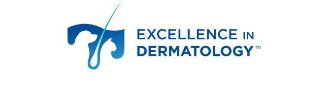 Dermatology Logo - Excellence In Dermatology - Link Studio